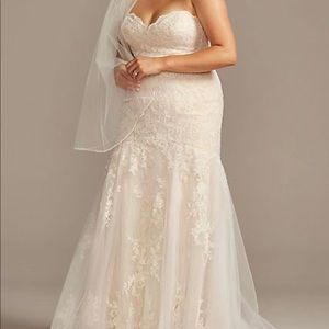 David’s bridal ivory/champagne mermaid style wedding dress.